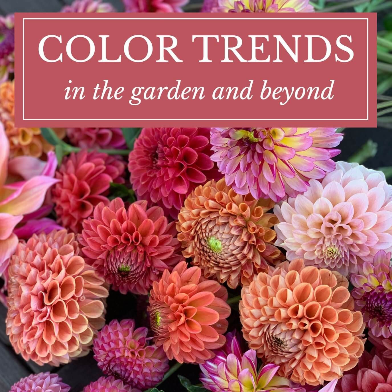 Color, Style, Impact: 5 of the Most Influential Flower Trends for 2023 –  Rio Roses