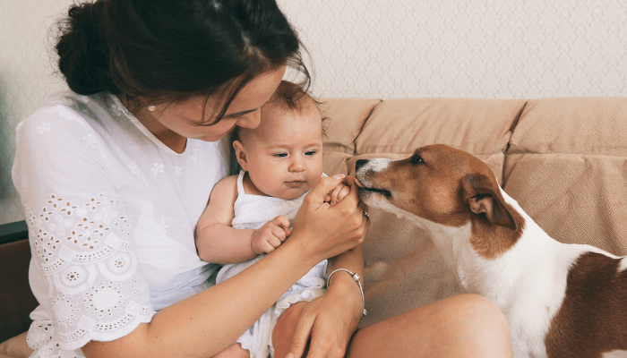 Newborns & Dogs: How to introduce your furry friend to your baby