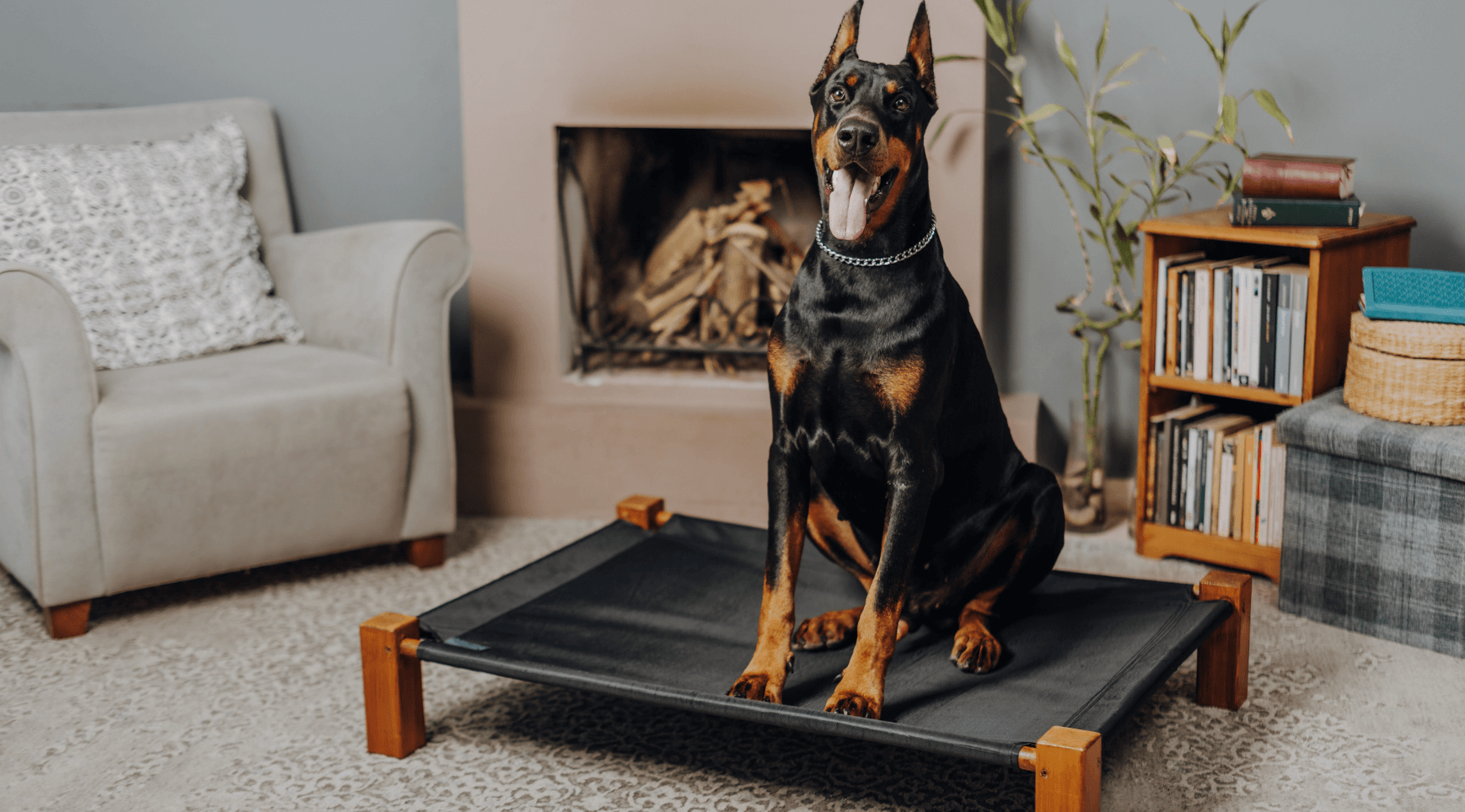Joint & Mobility Health 101