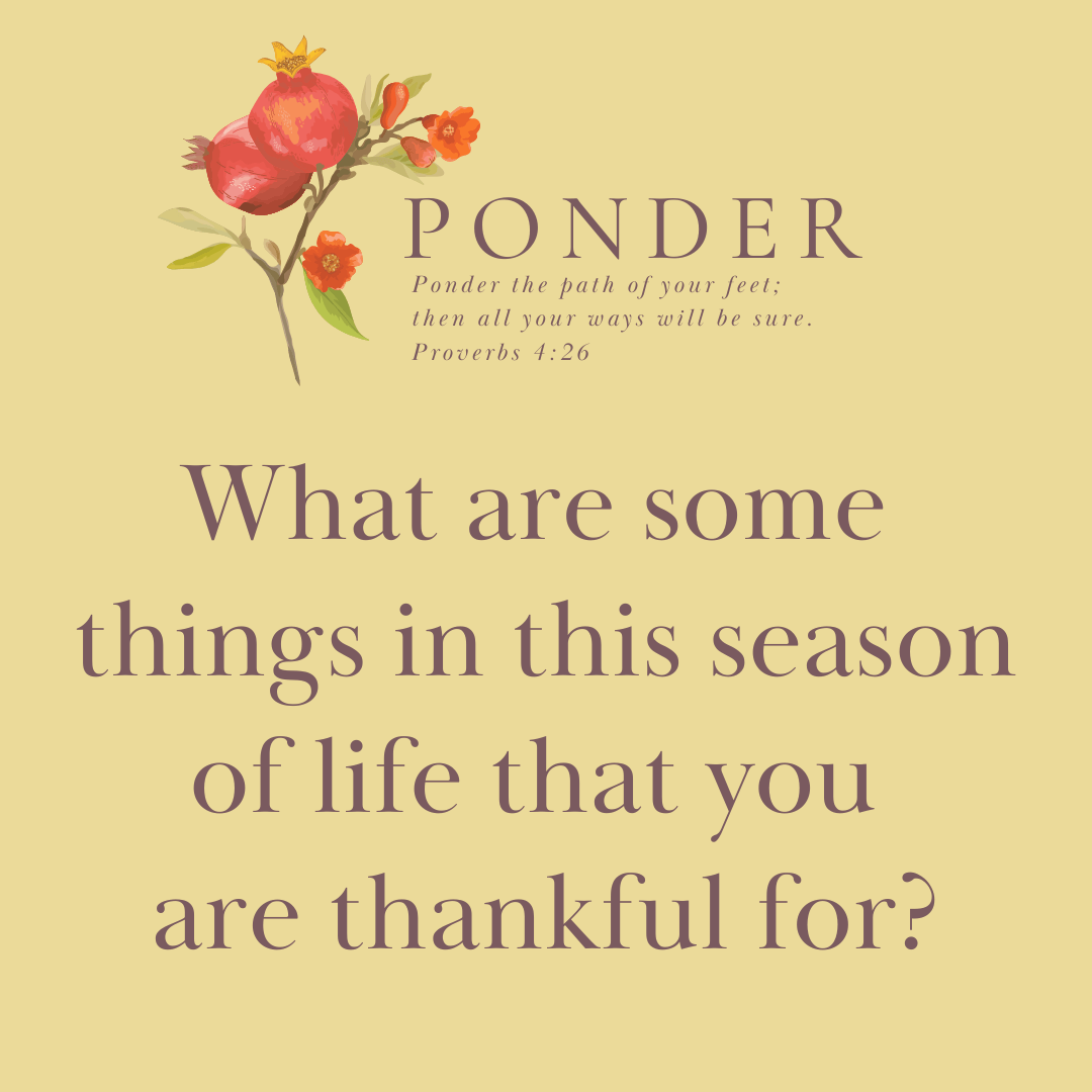 Ponder: What Are Some Things In This Season Of Life That You Are Thankful For?