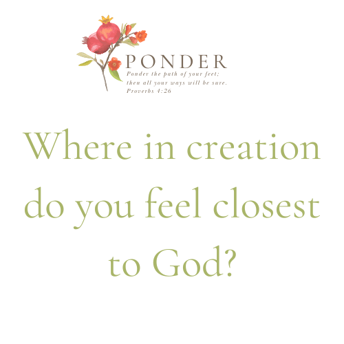 Ponder- Where in creation do you feel closest to God