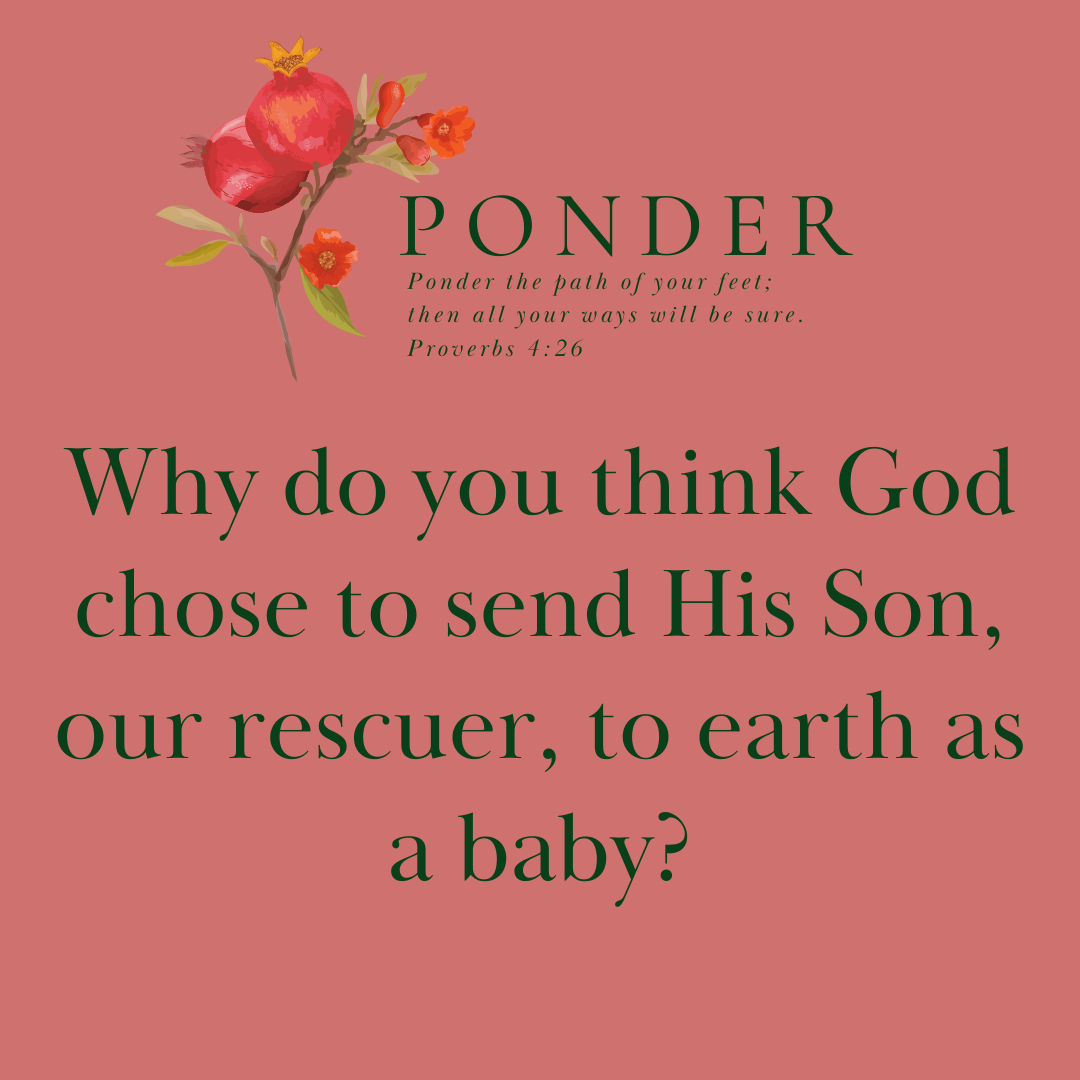 Ponder: Why do you think God chose to send His Son, our rescuer, to earth as a baby?