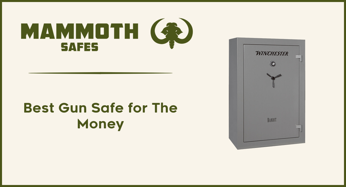 Best Gun Safe for The Money