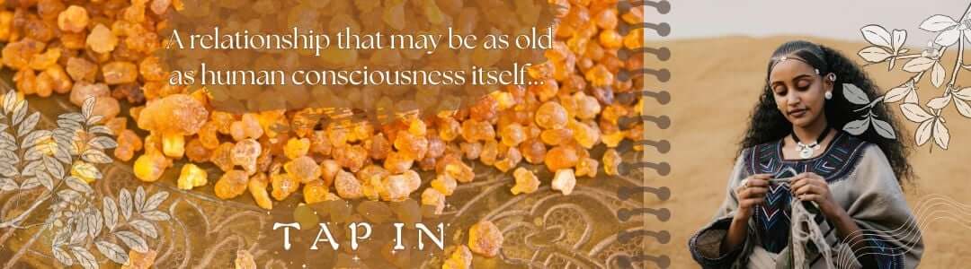 frankincense and myrrh resin over an ancient design, with an Ethiopian woman in the desert. Text reads "A relationship that may be as old as human consciousness itself..."