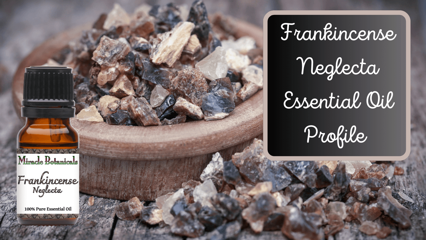 A Rare Species of Frankincense - Frankincense Neglecta Essential Oil
