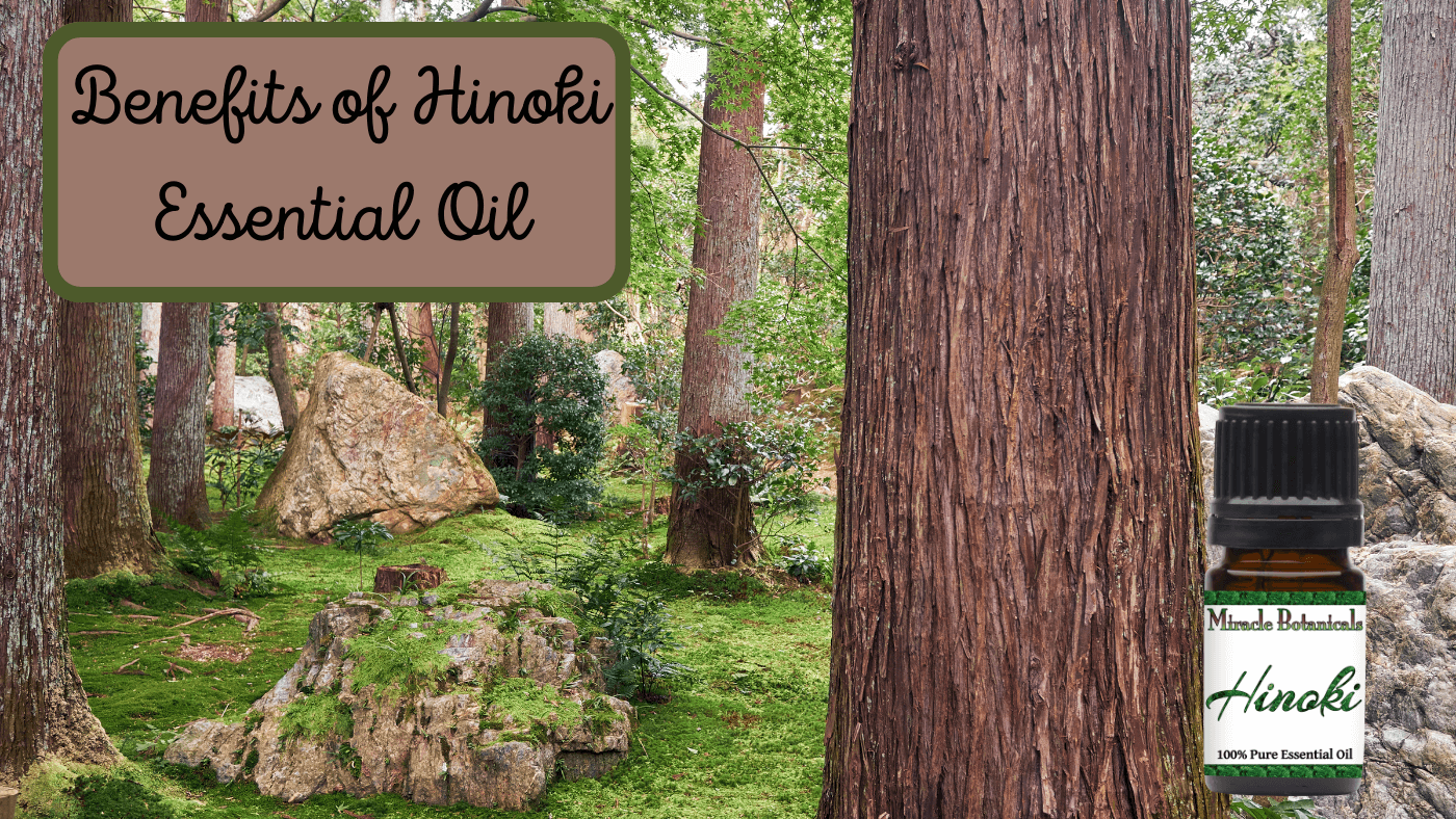 Benefits of Hinoki Essential Oil