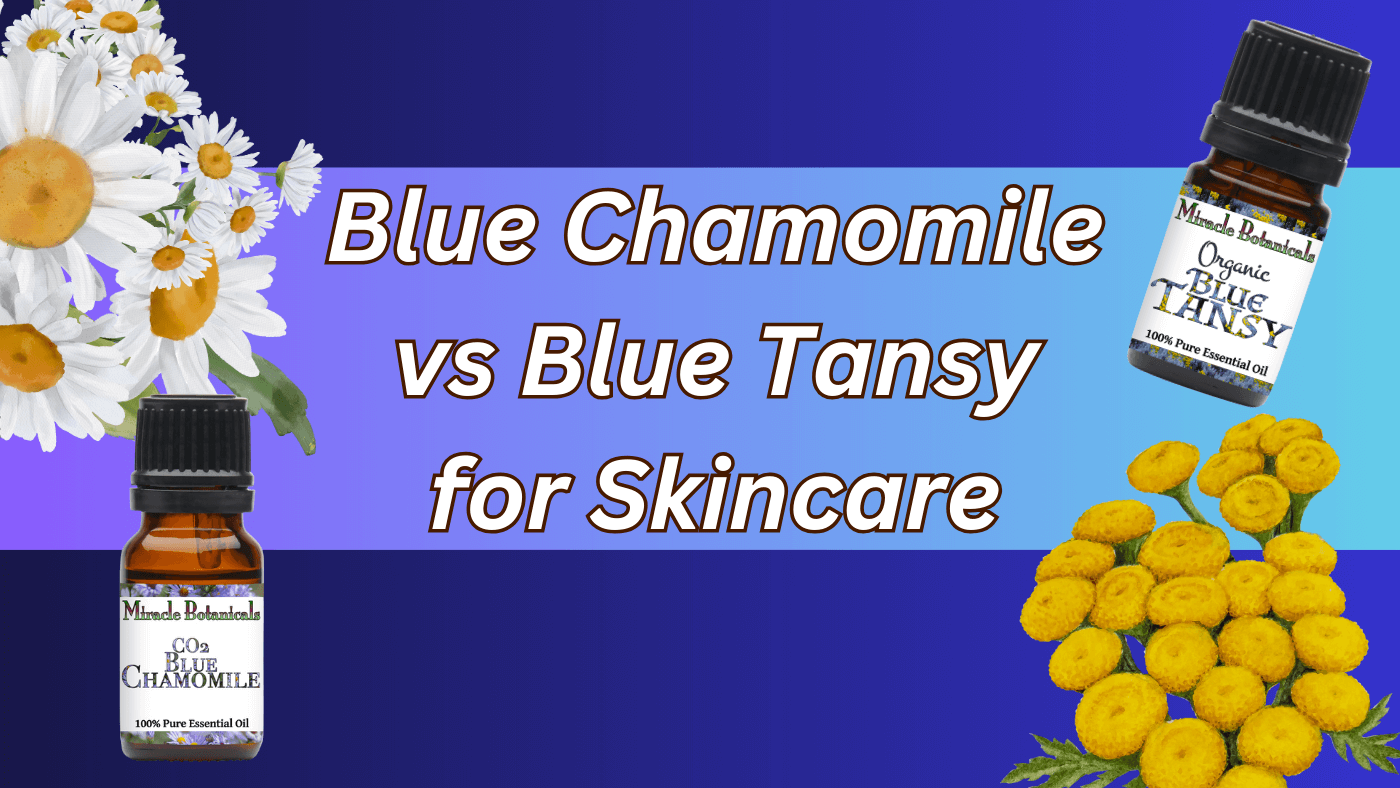 Blue Chamomile vs Blue Tansy Essential Oil for Skincare