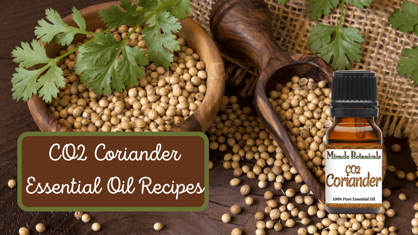 Coriander Essential Oil Recipes