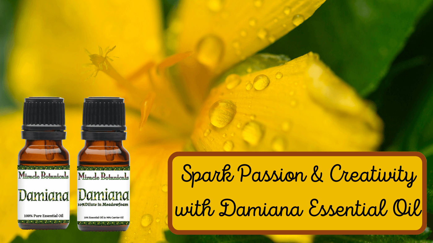 Damiana Essential Oil Benefits: The Passion Potion