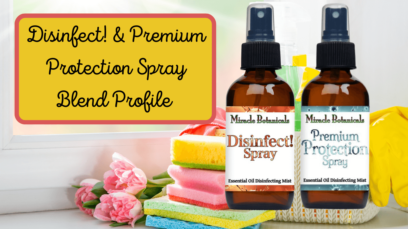 Discover the Inside Scoop on Disinfect!