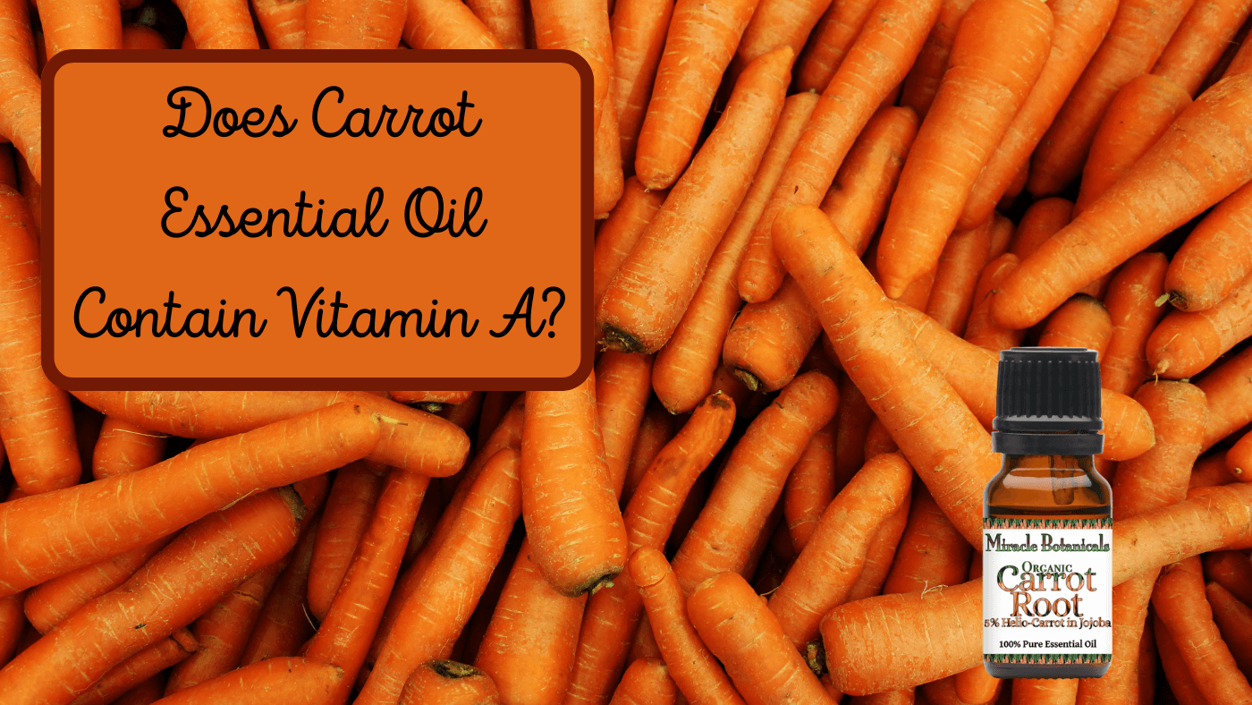 Carrot Root Oil Benefits Compared to Carrot Seed