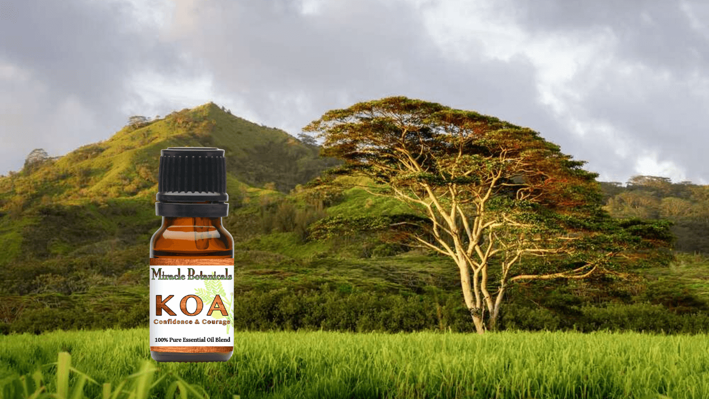 Koa - Blend of Essential Oils for Strength and Confidence