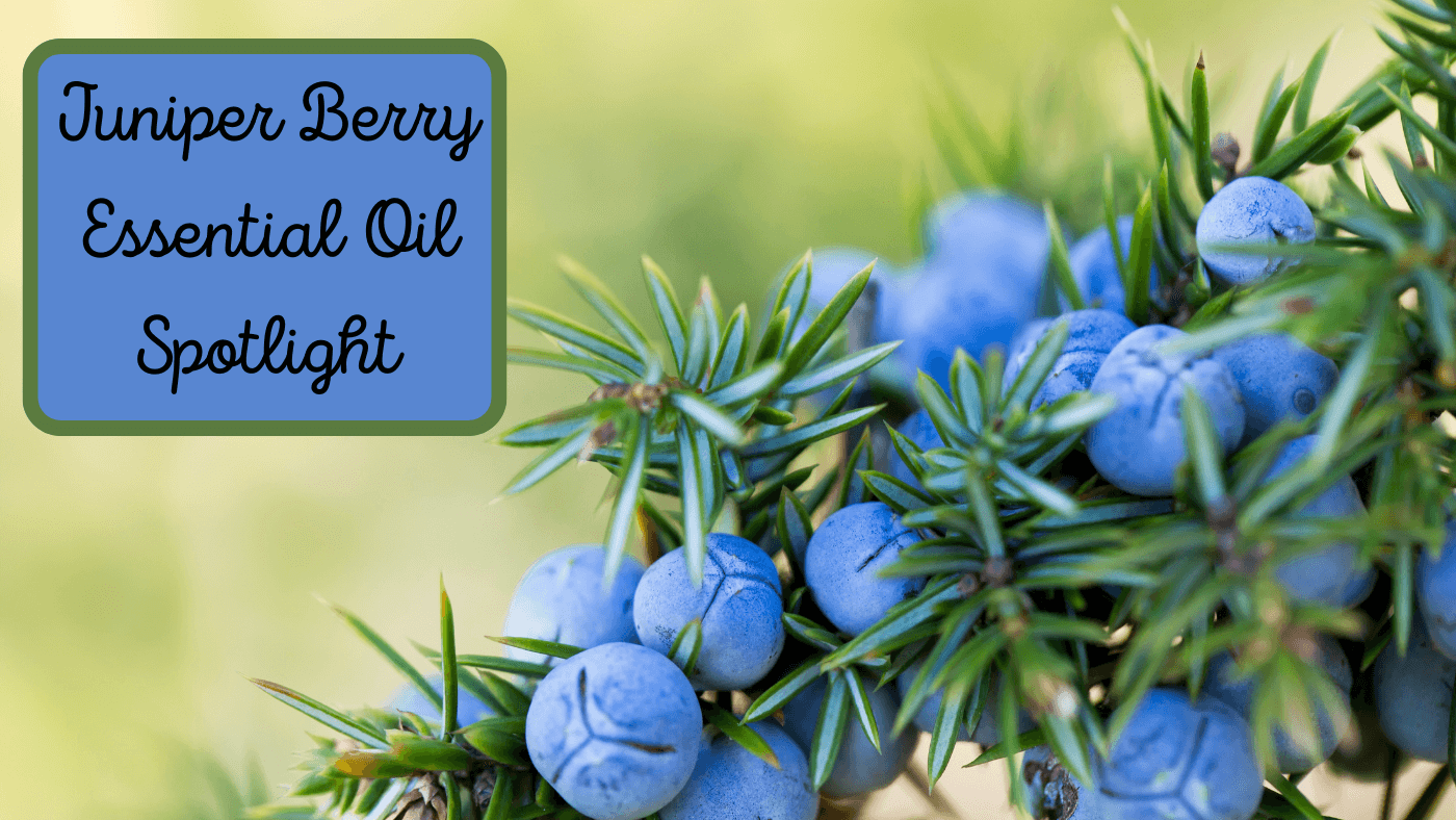Essential Oil Juniper Berry