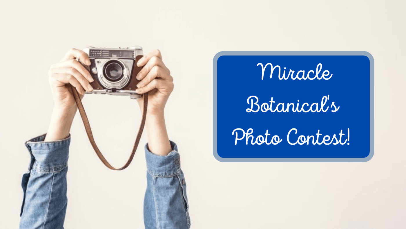 Miracle Botanicals Photo Contest!