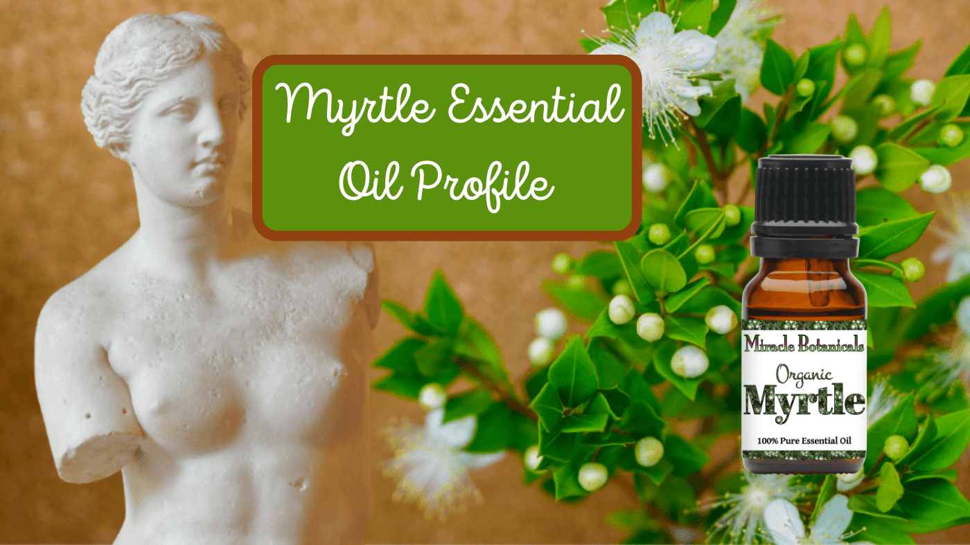 Myrtle Benefits: The Essence of Aphrodite