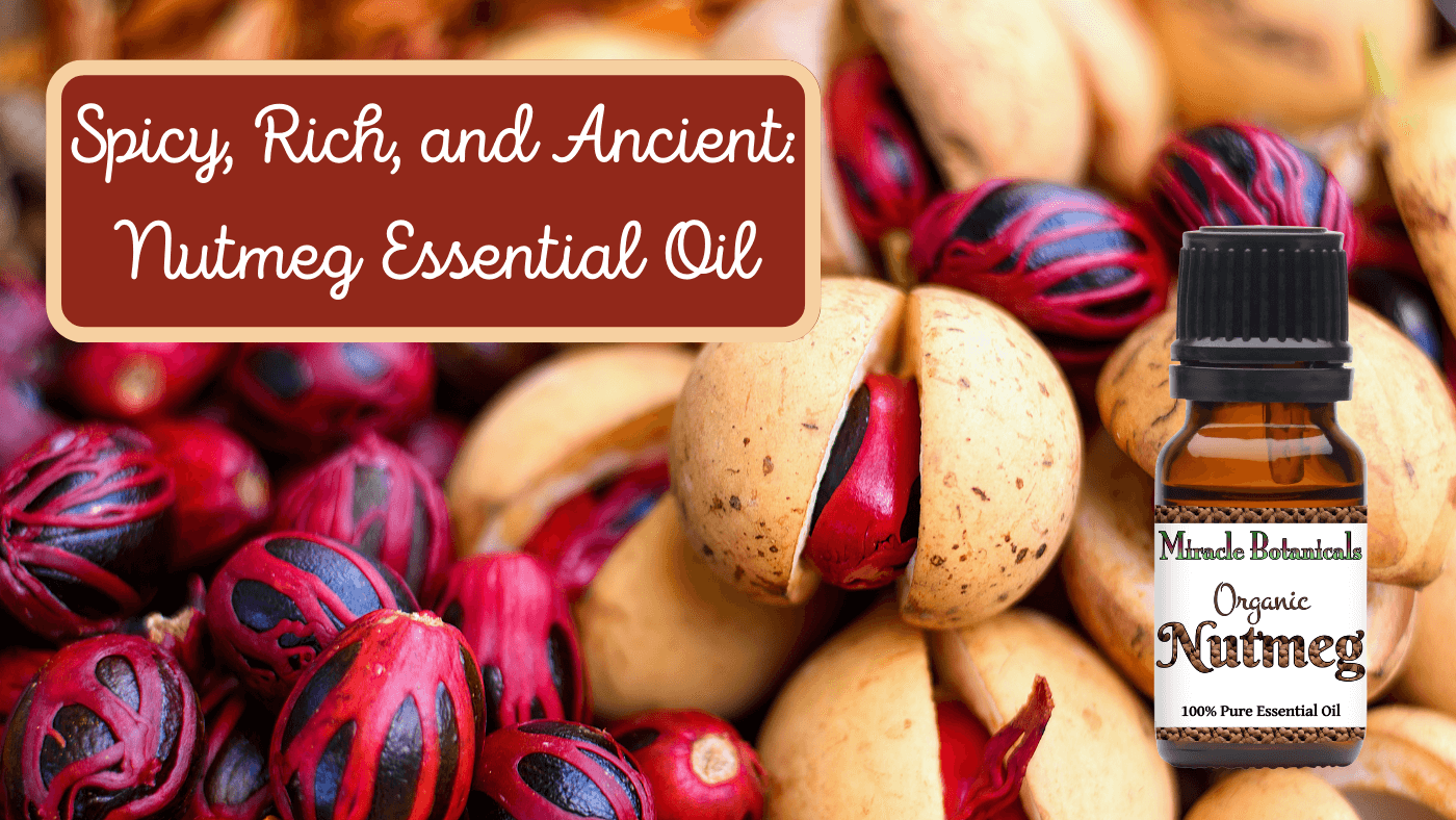 Nutmeg Essential Oil: 4 Benefits and 4 Recipes