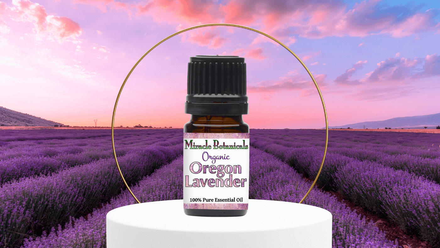 Oregon Lavender Essential Oil Spotlight