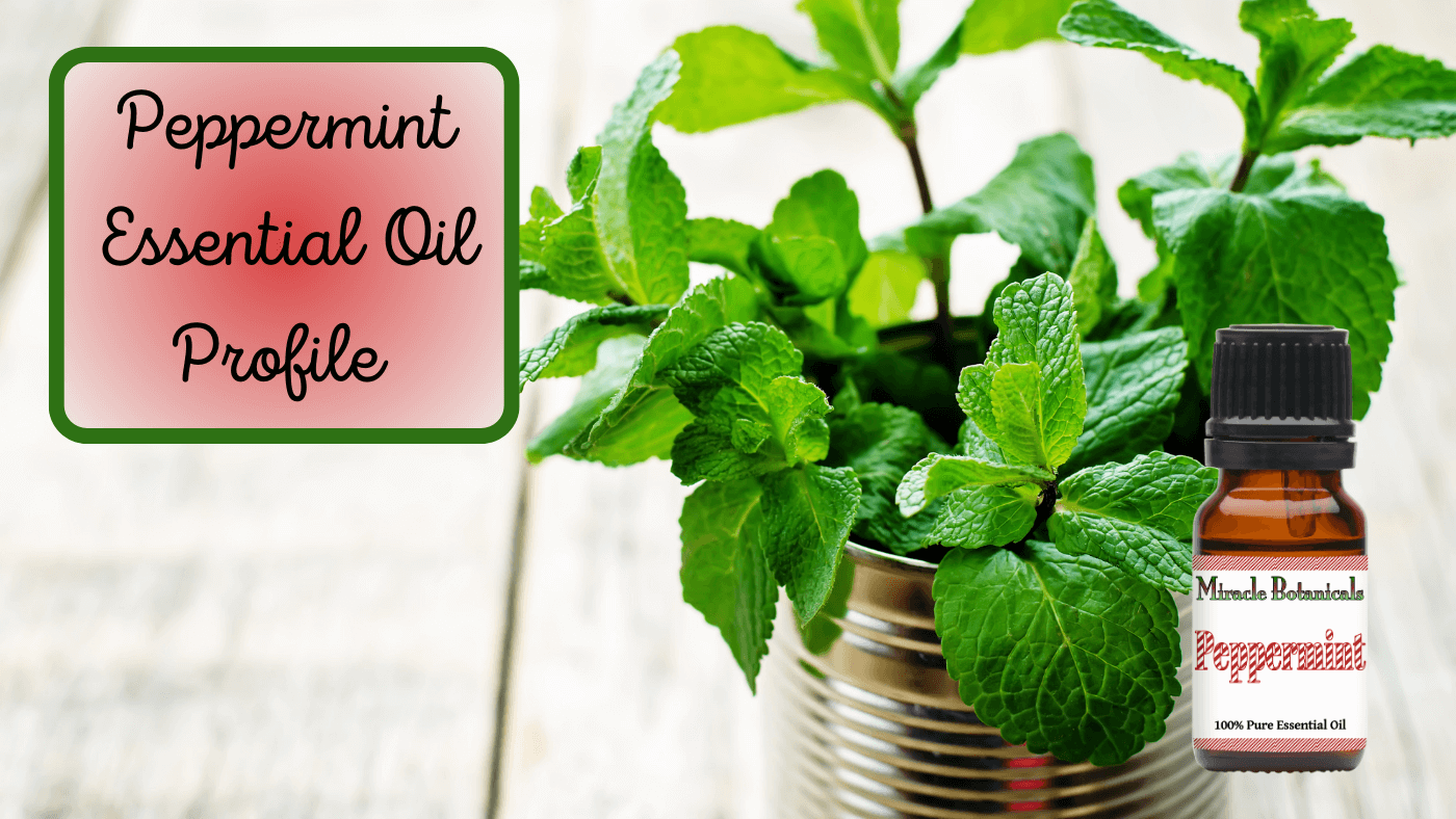 Peppermint Oil, Guide To Essential Oils