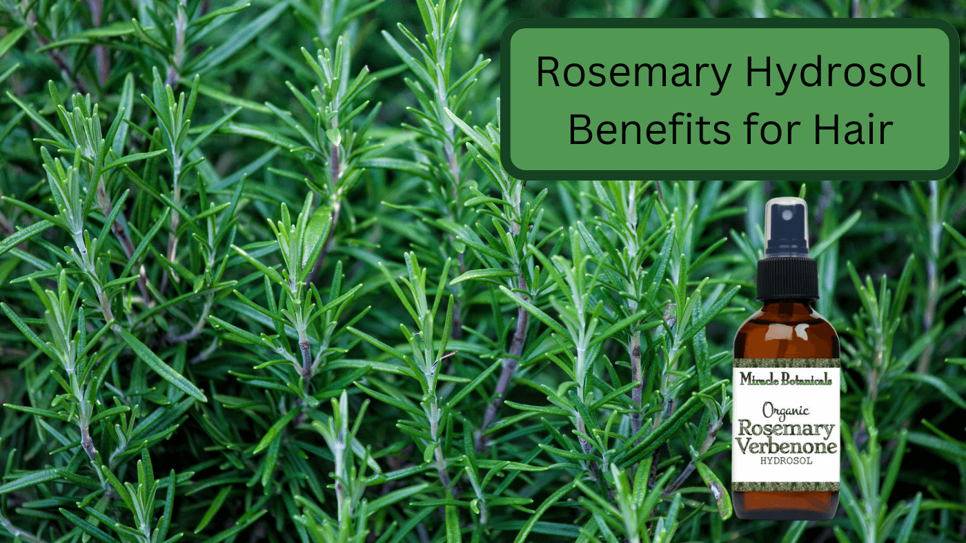 Rosemary Benefits for Hair