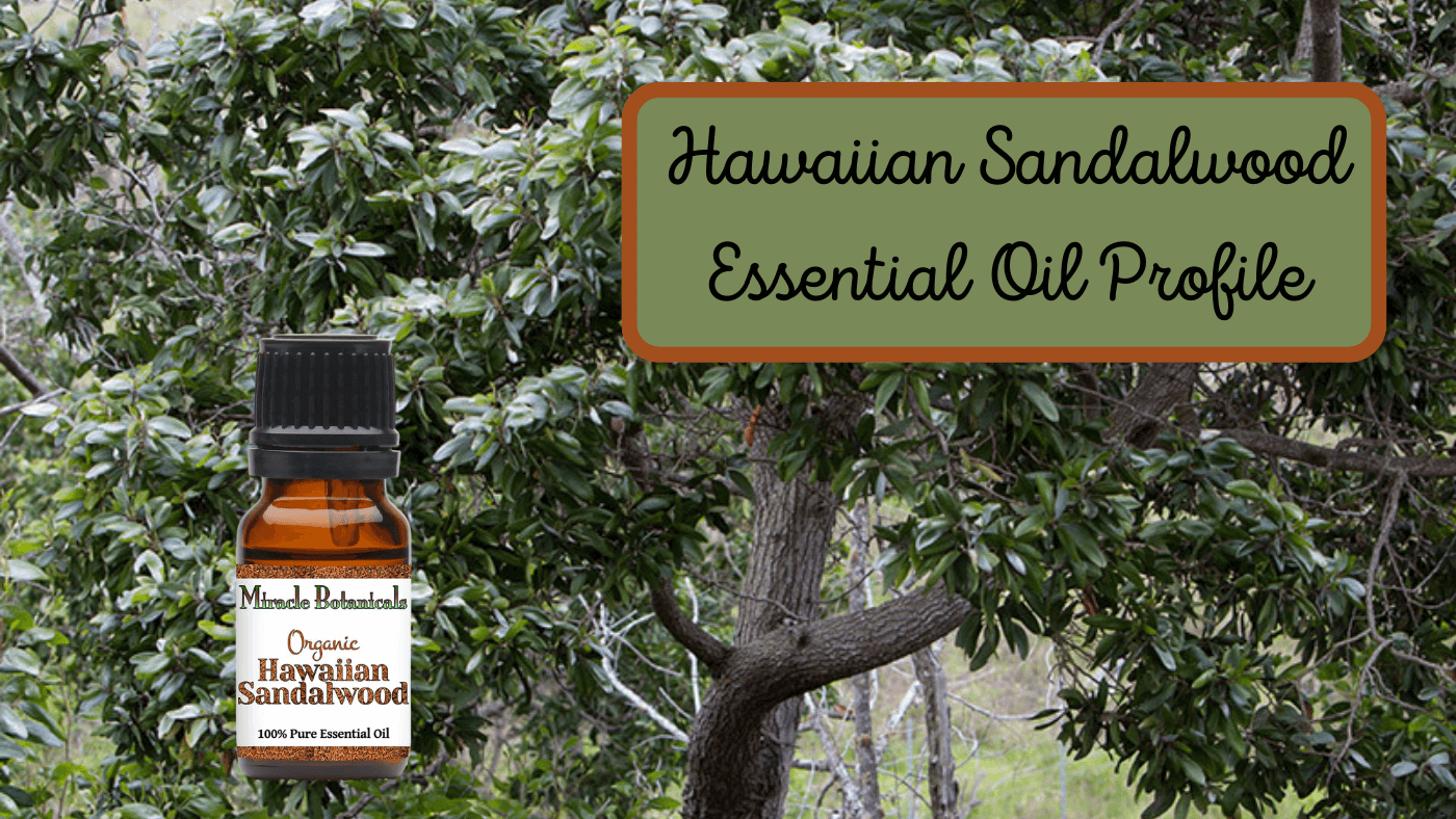 Royal Hawaiian Sandalwood Essential Oil Profile