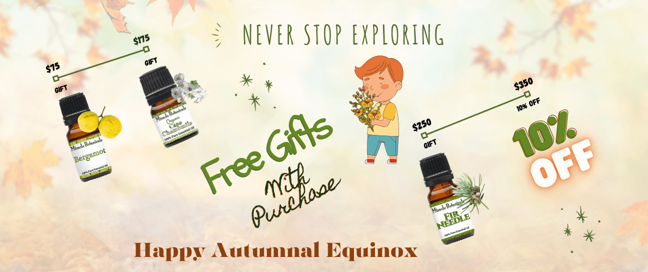 Autumn Essential Oil Offers! Never Stop Exploring