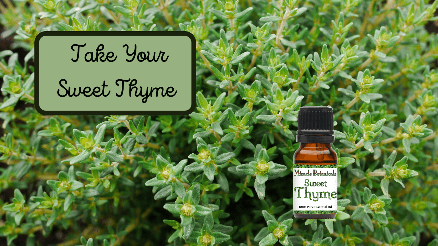 Thyme Essential Oil Benefits