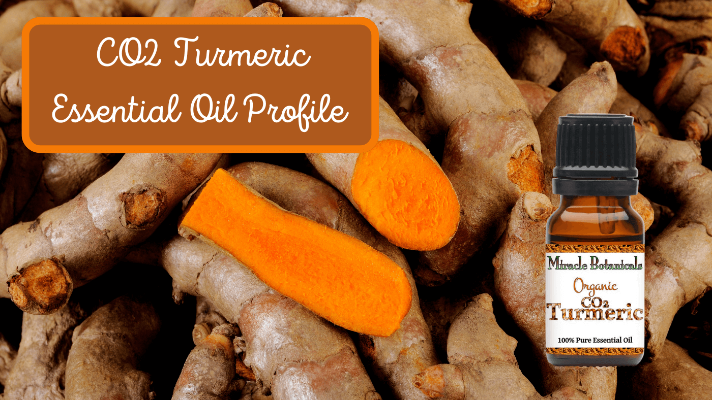 The Bountiful Benefits of Turmeric Essential Oil