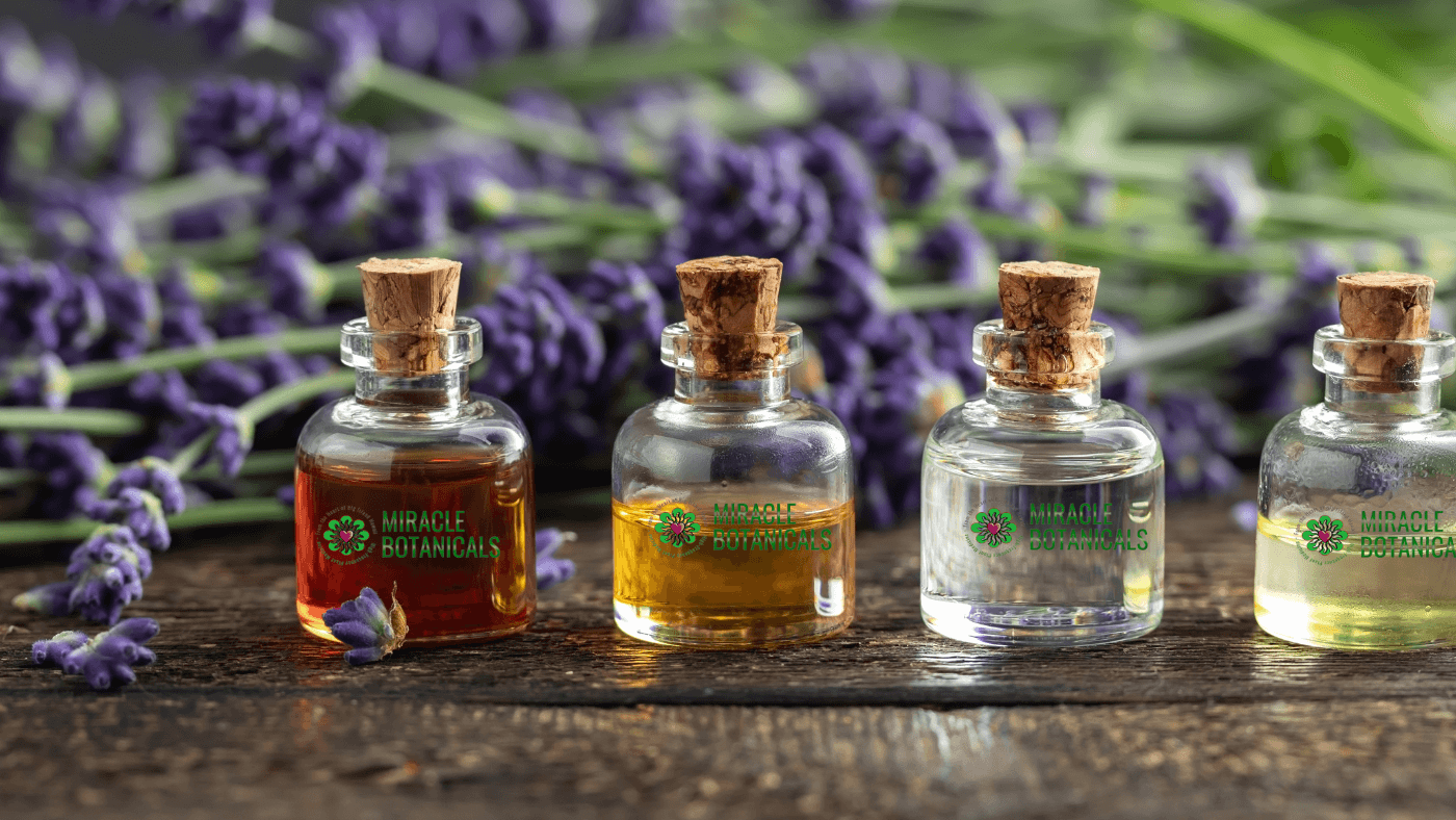 What Are Essential Oils For? Discovering Their Health and Wellness Benefits