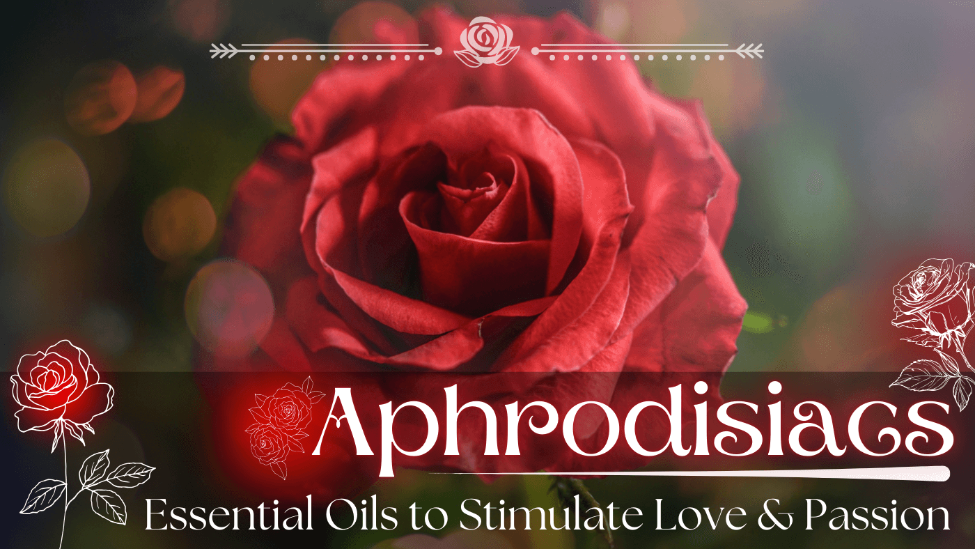 Aphrodisiacs: Essential Oils to Stimulate Love and Passion