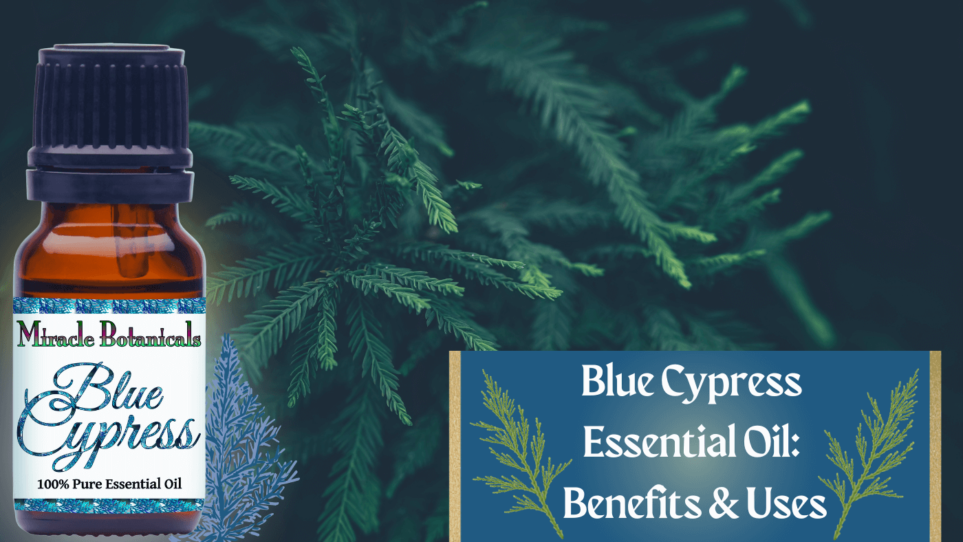 Blue Cypress Essential Oil