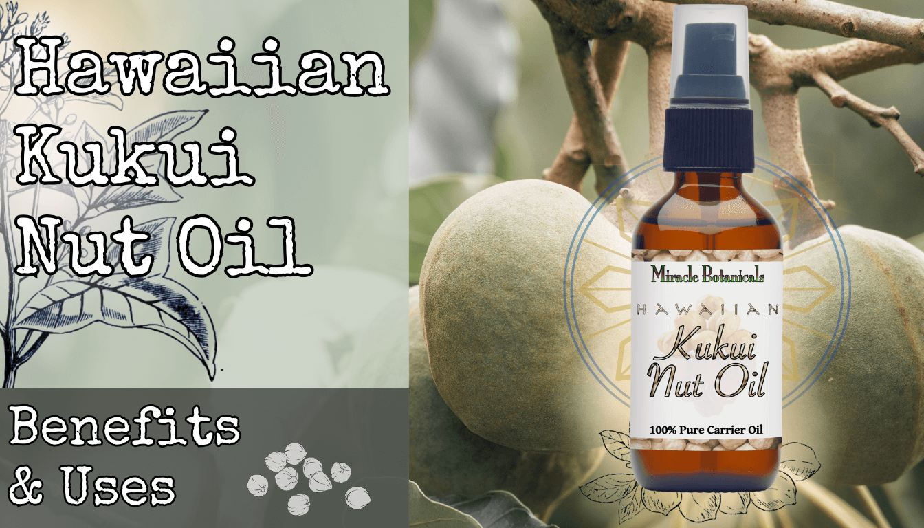 Kukui Nut Oil: A Treasure from Hawaii’s Past and Present