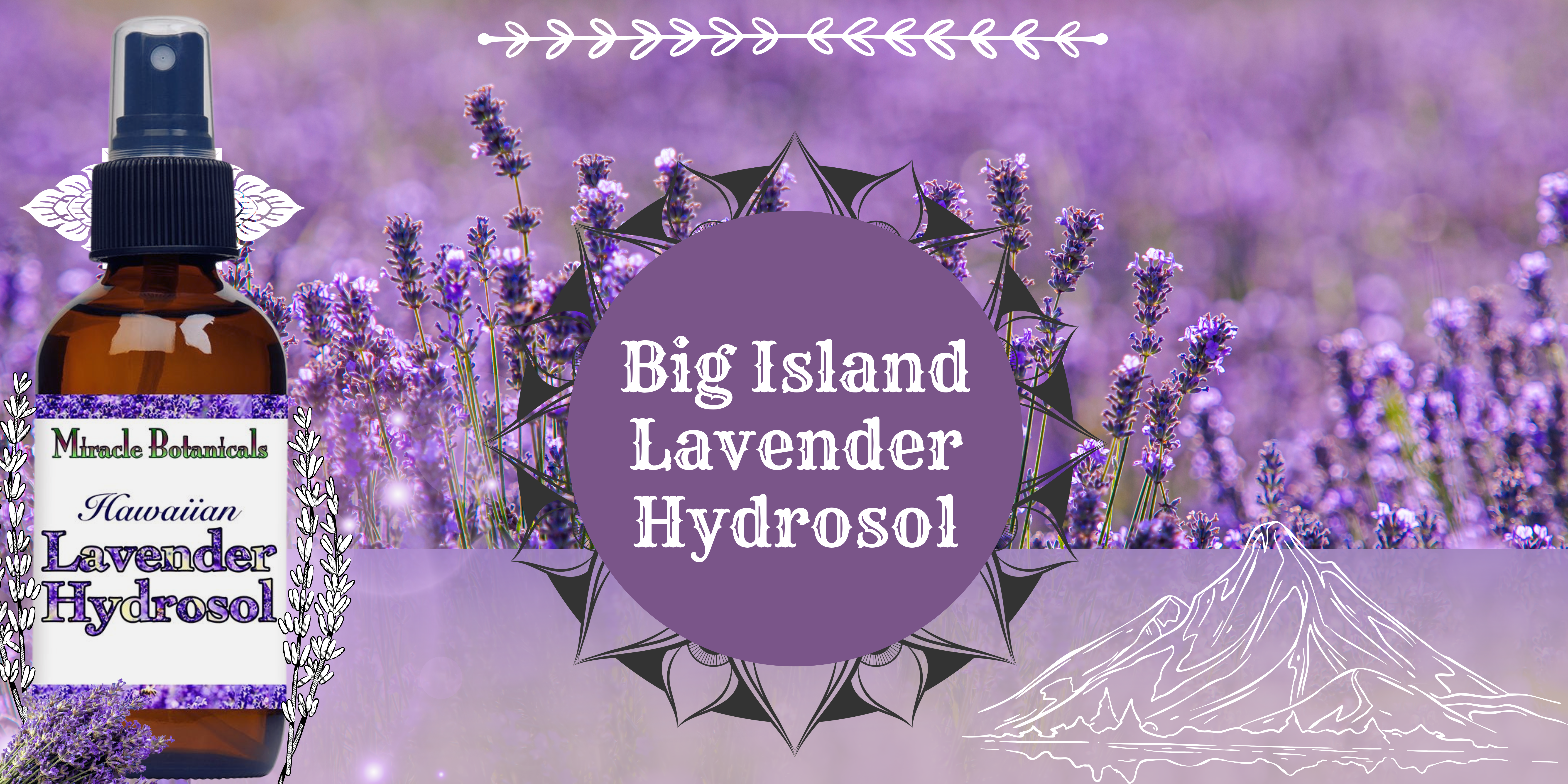 Big Island Lavender Hydrosol