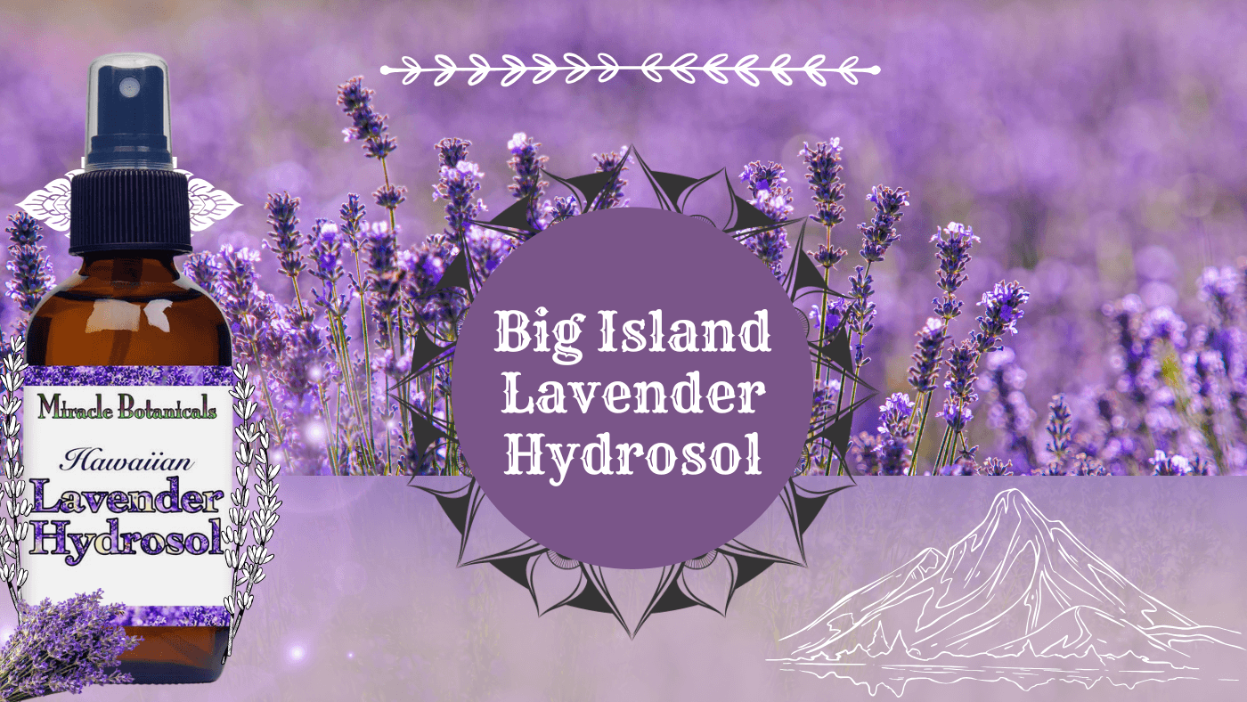 Big Island Lavender Hydrosol