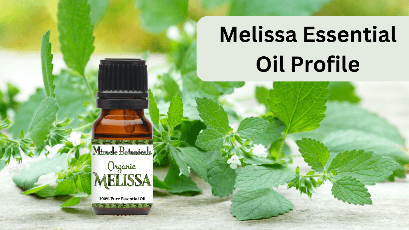 Melissa Essential Oil Profile