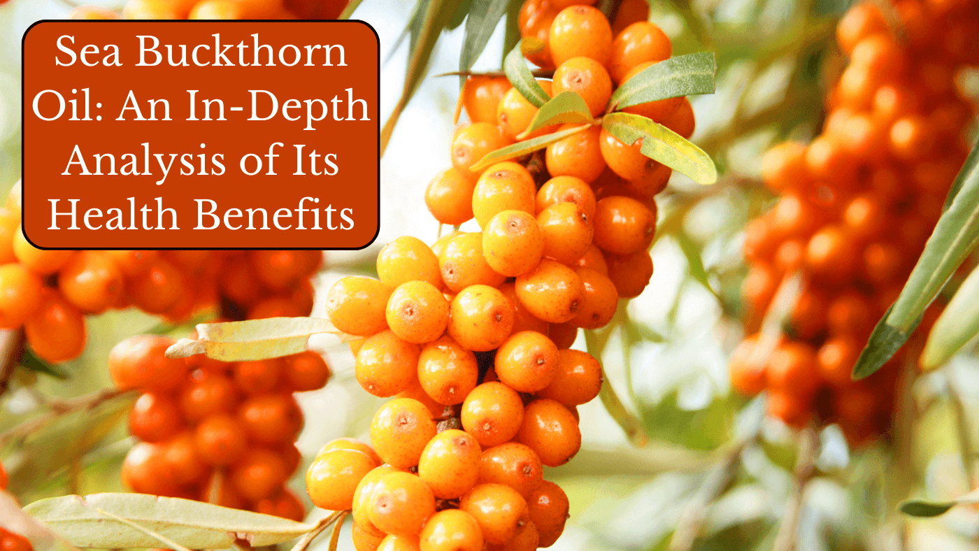 Sea Buckthorn Oil: An In-Depth Analysis of Its Health Benefits