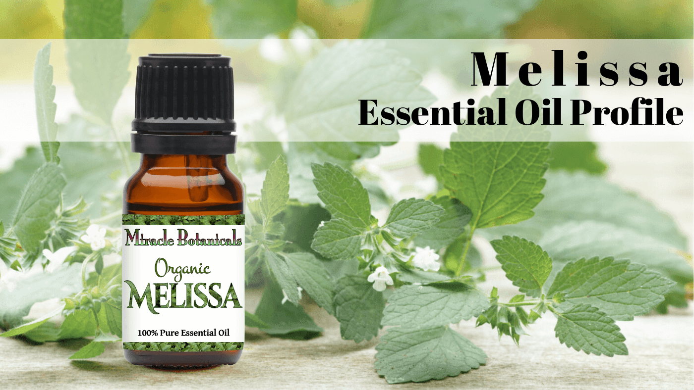 Melissa Essential Oil Profile