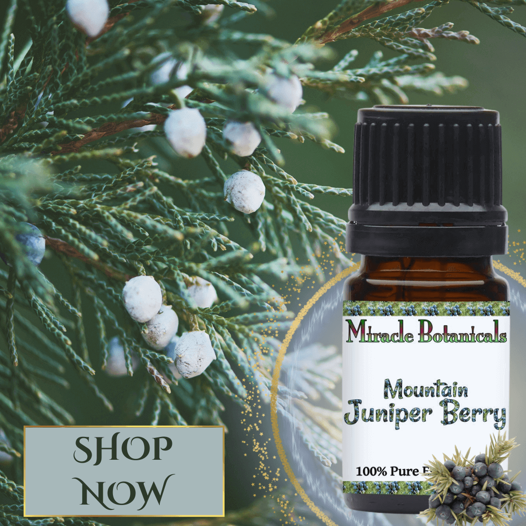 mountain juniper essential oil