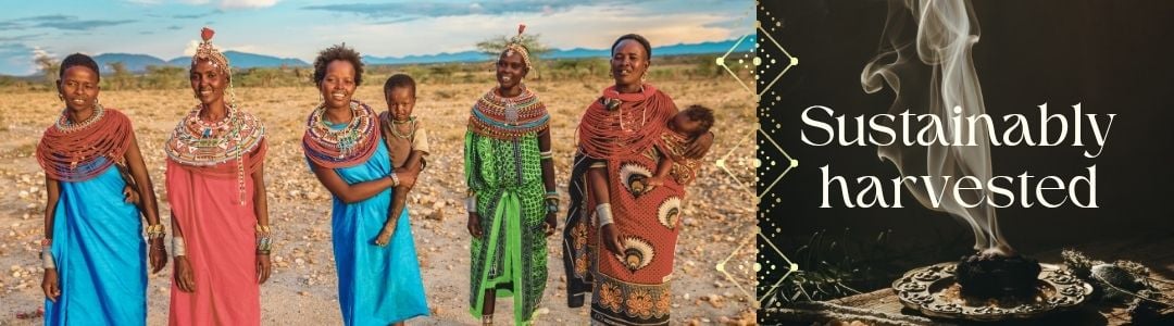 Samburu women of Africa in colorful dresses and traditional adornments, holding their babies. Frankincense resin burns in a beautiful metal dish. Text "sustainably harvested"