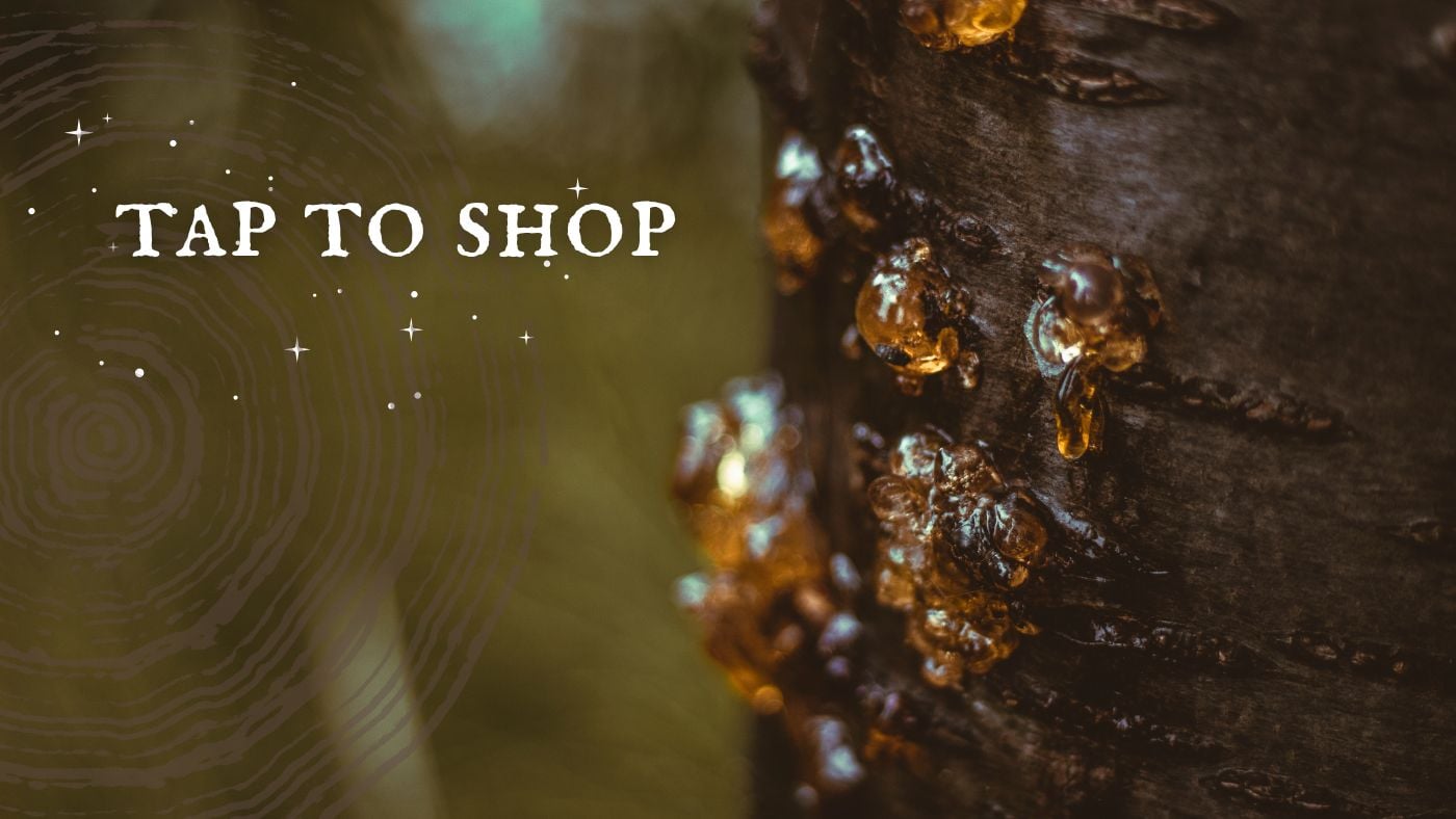 close up of a tree producing golden resin with tree rings and text Tap To Shop, MiracleBotanicals.com