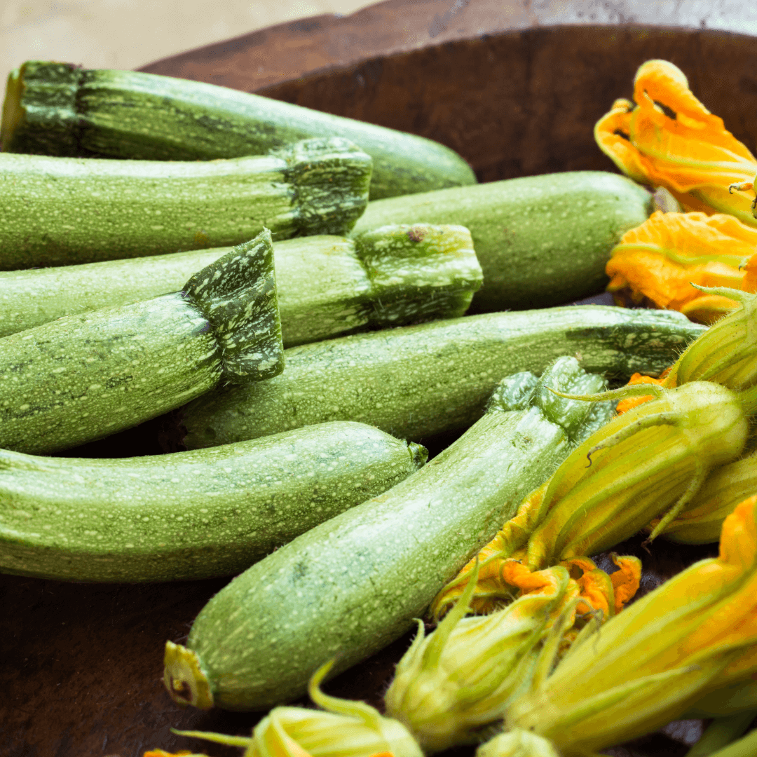 How to Grow Zucchini Indoors Guide