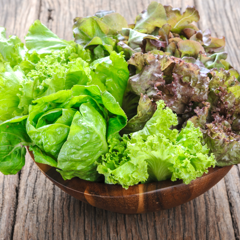 A Guide to Salad Greens