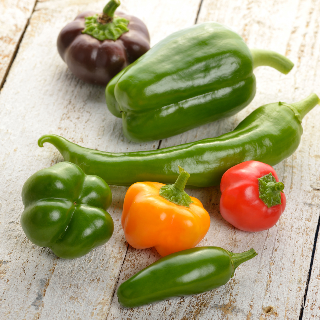 https://dropinblog.net/34251073/files/featured/42575668_How_to_Grow_Peppers_From_Seeds.png