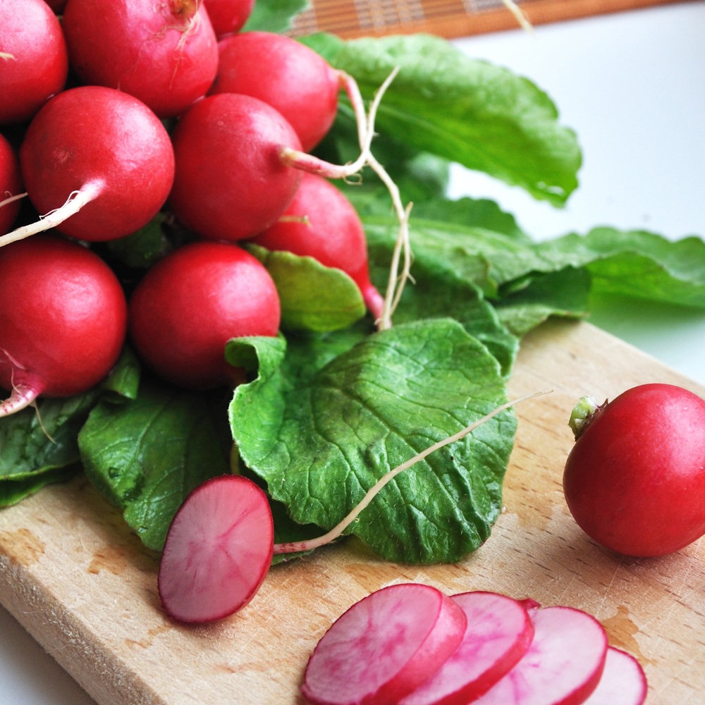 How to Grow Radishes Hydroponically