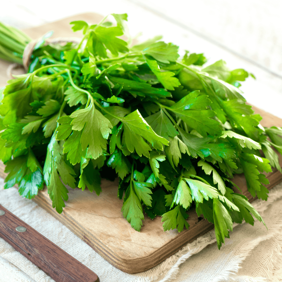 commercial vegetable cutting leafy vegetable Spinach/Parsley