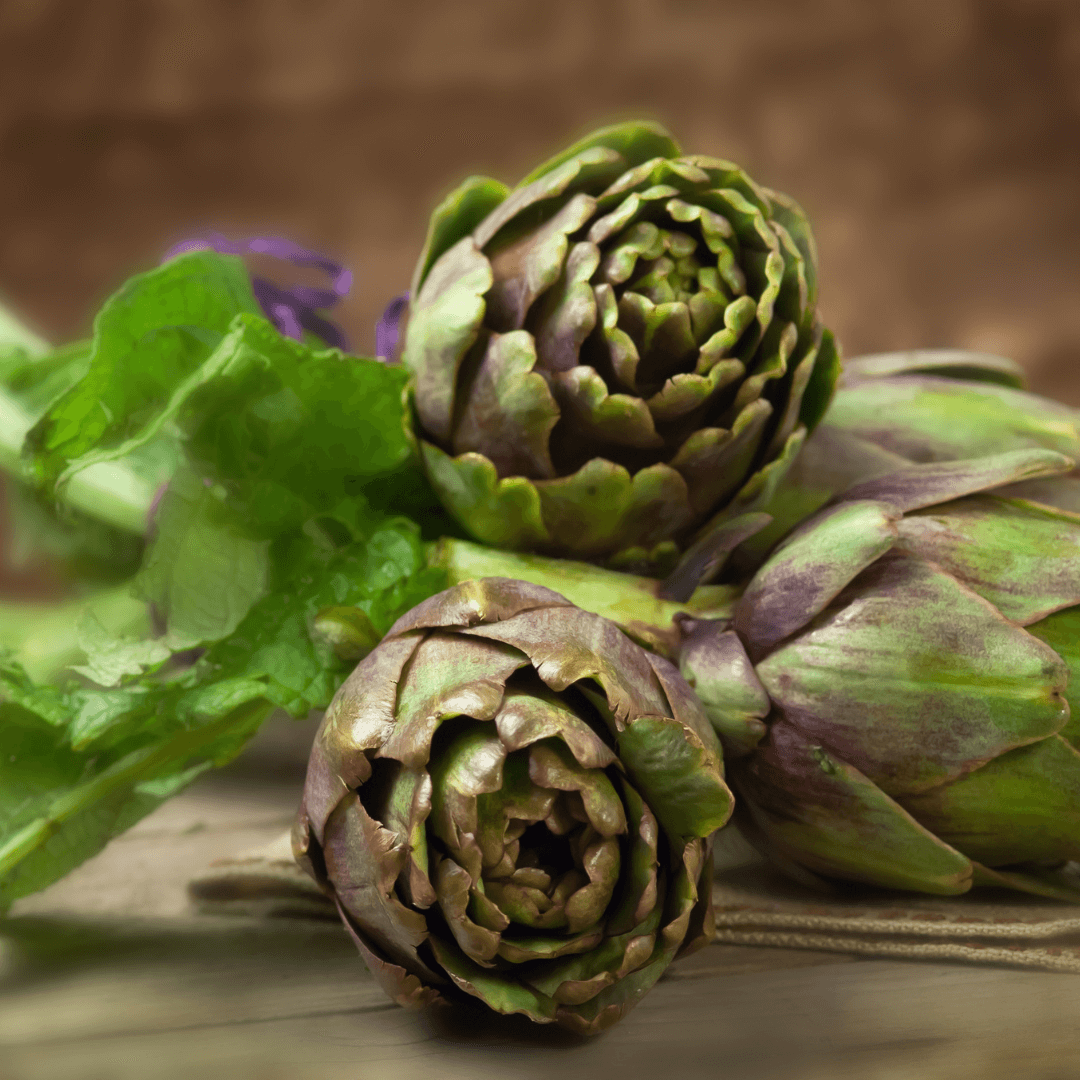 How Do You Grow Artichokes From Seed