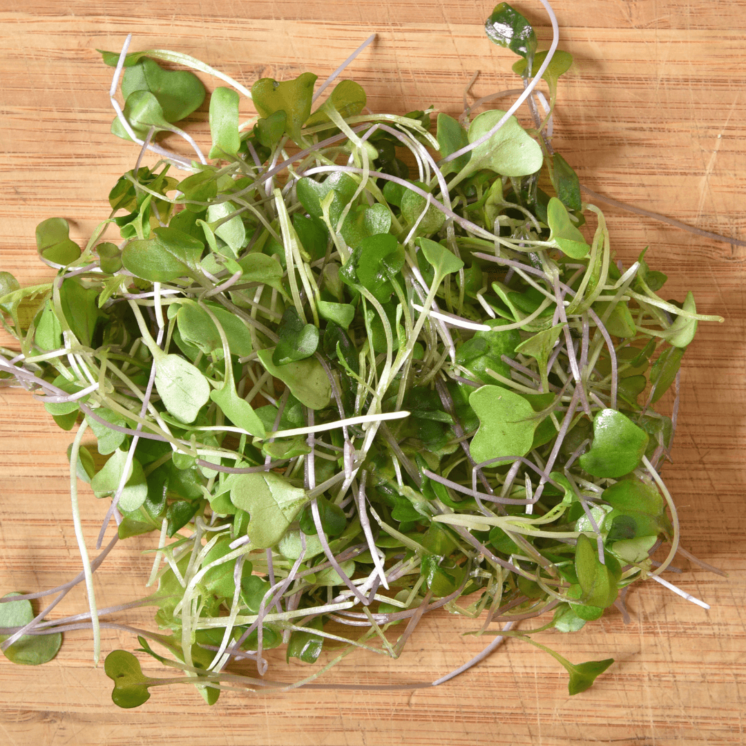 Microgreens vs Sprouts Which is Better For You?