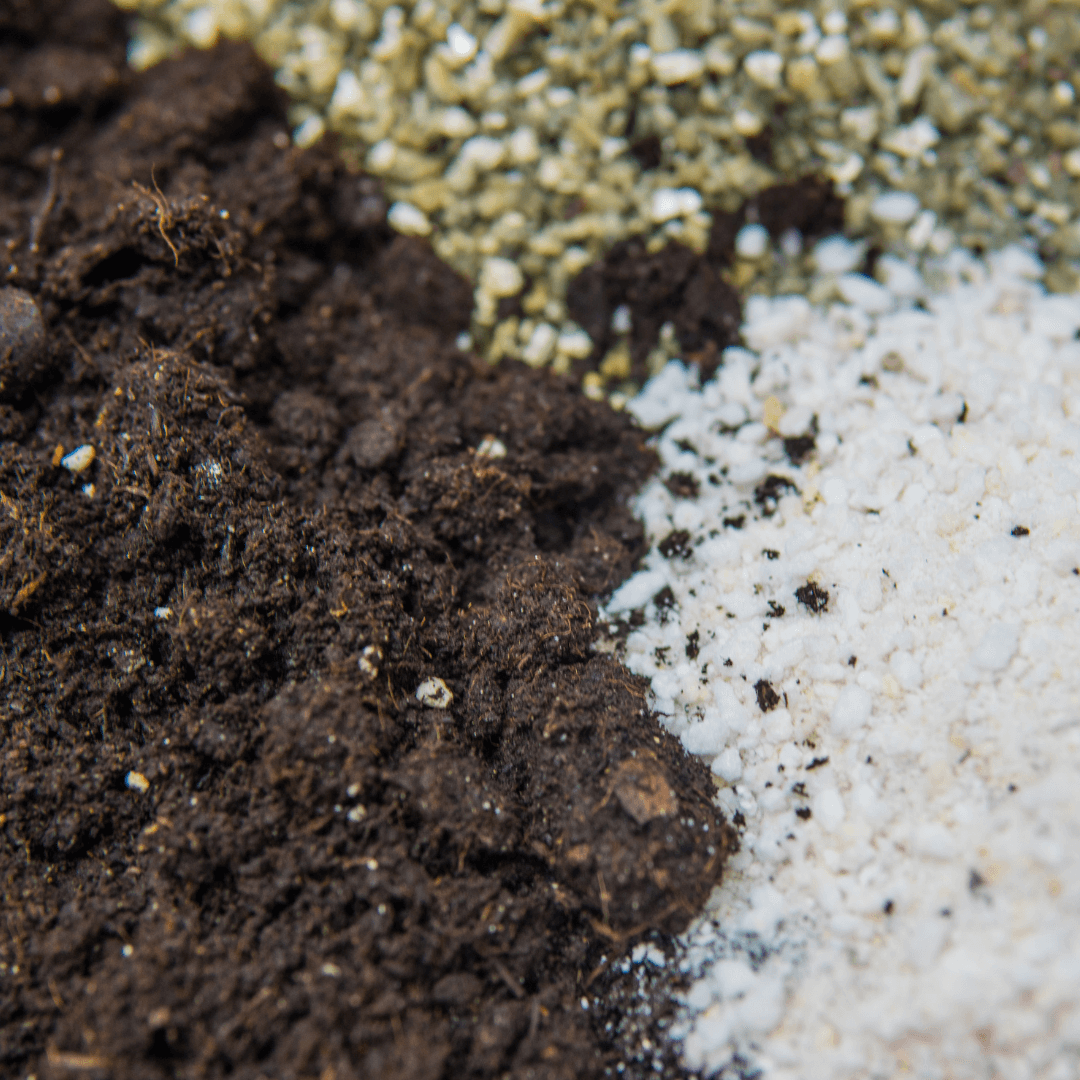 Perlite vs Vermiculite 