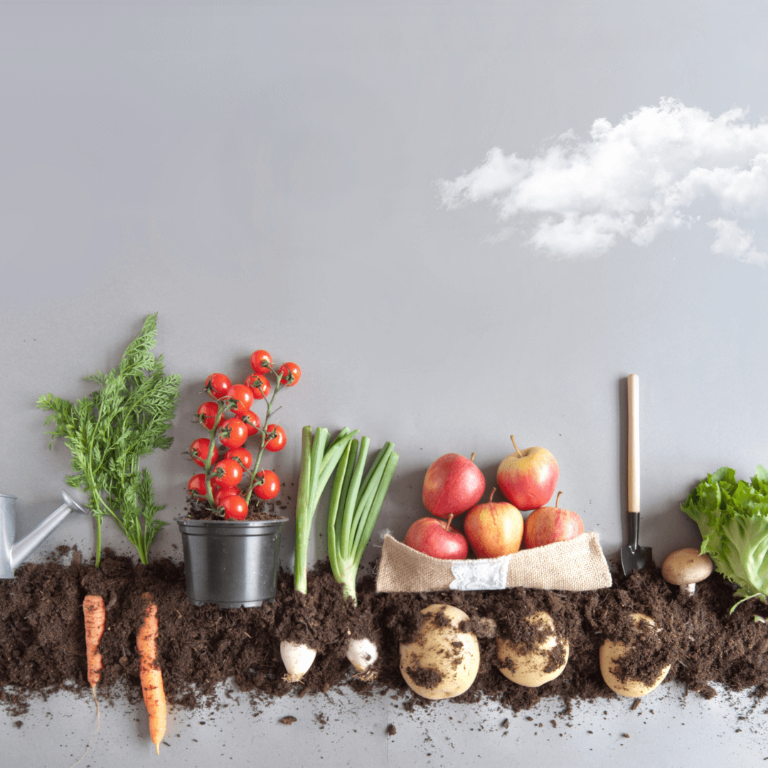 How Does Companion Planting Work?