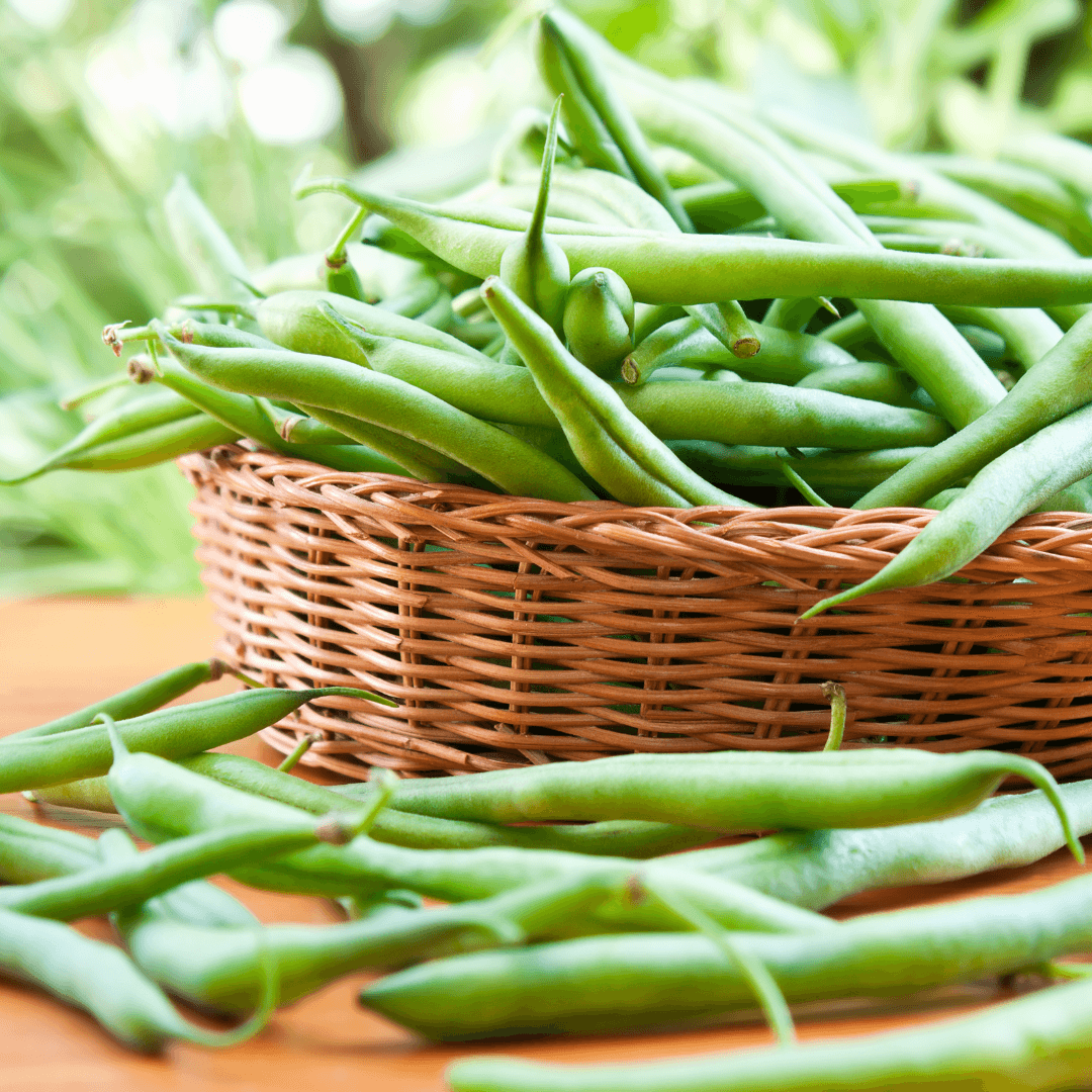 How to Grow Green Beans from Seed