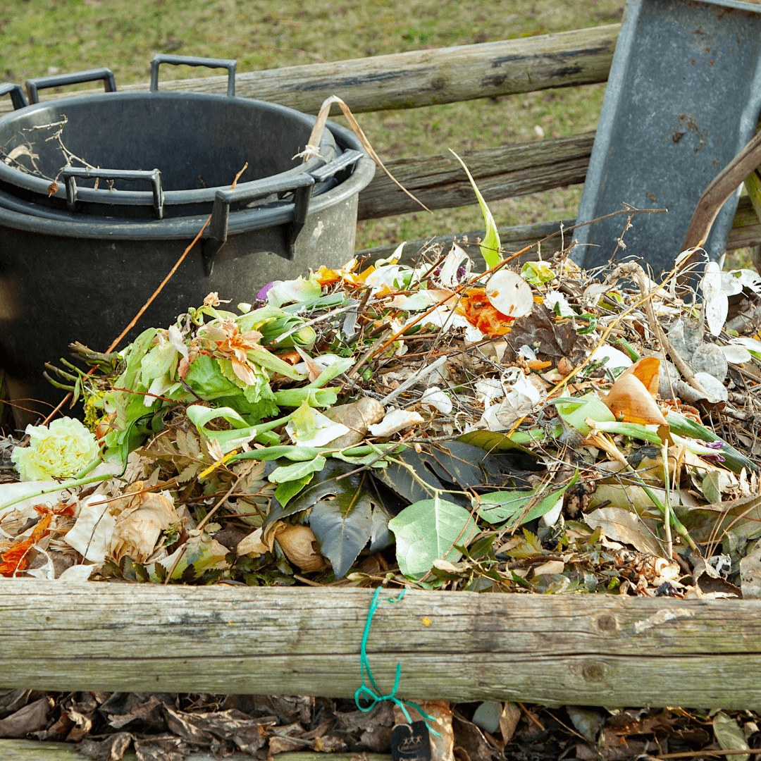 What No To Do When Composting, the Composting Dont's